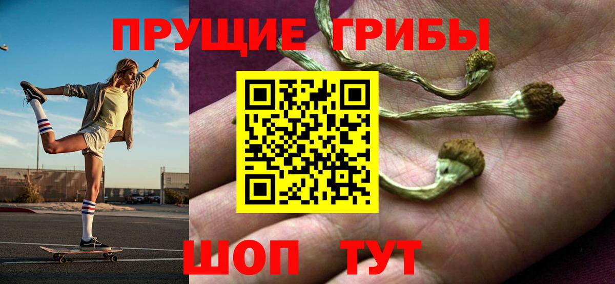 Орехово-Зуево  Псилоцибиновые грибы GOLDEN TEACHER  Галлюциногенные грибы Psilocybe  Вход с VPN 