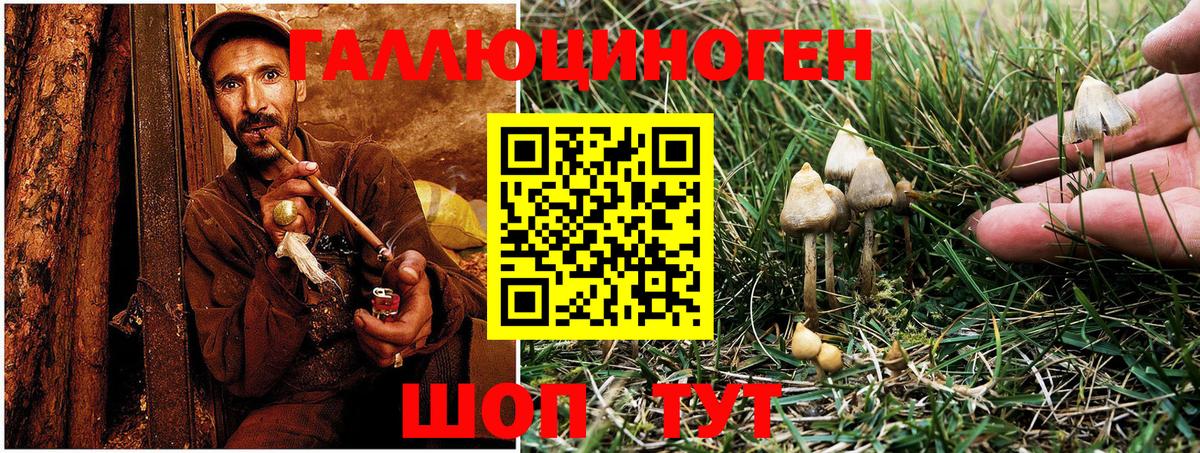 Галлюциногенные грибы Cubensis Орехово-Зуево